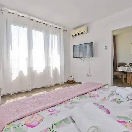 Apartment Tonik
